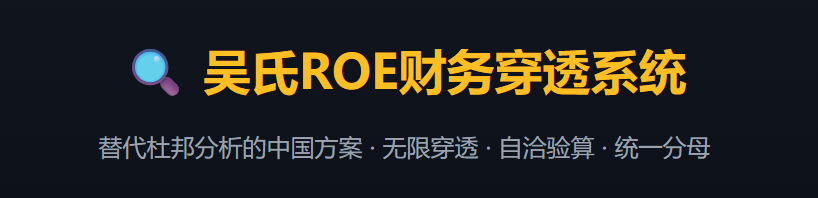 吴氏ROE财务穿透系统